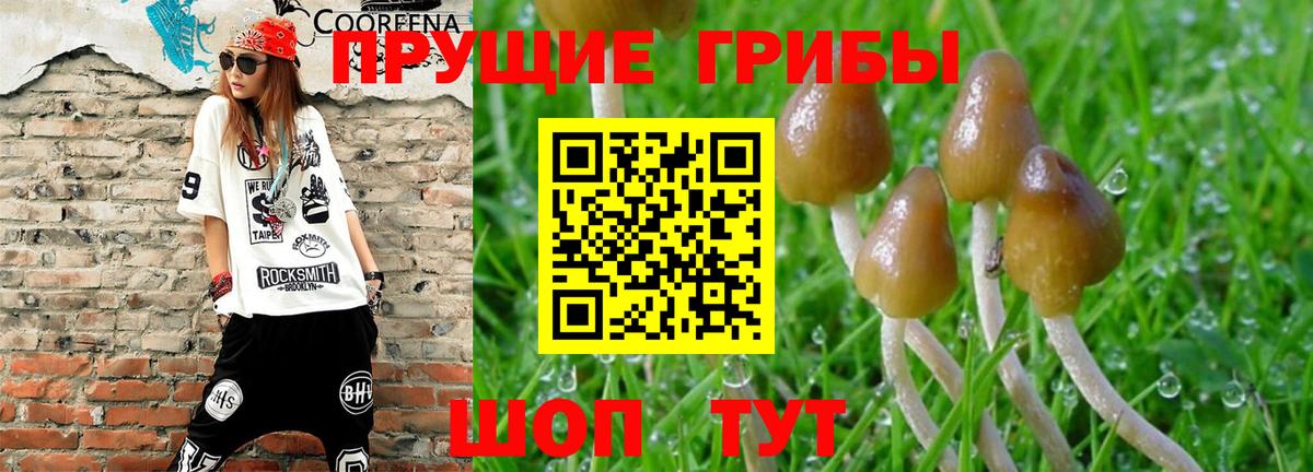 Галлюциногенные грибы мухоморы Новочеркасск